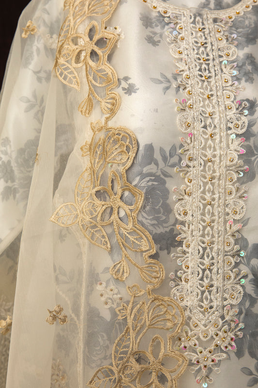 RAQS-E-RESHAM | SELF-PRINTED ORGANZA | STITCHED